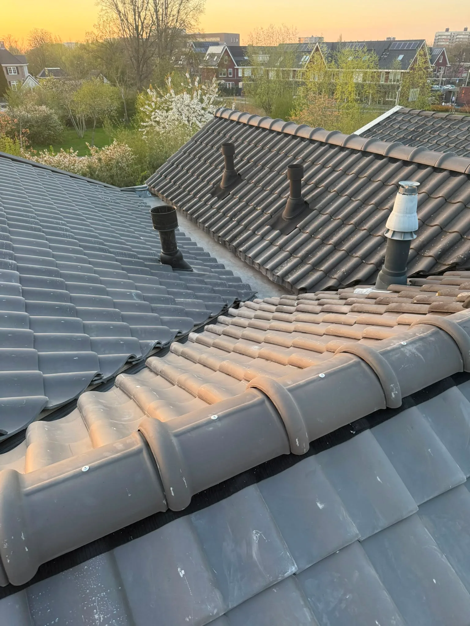 Dakrenovatie met zichtbare houten constructie